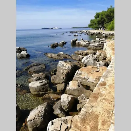 Studio Centener Rustico Gold * Rovinj