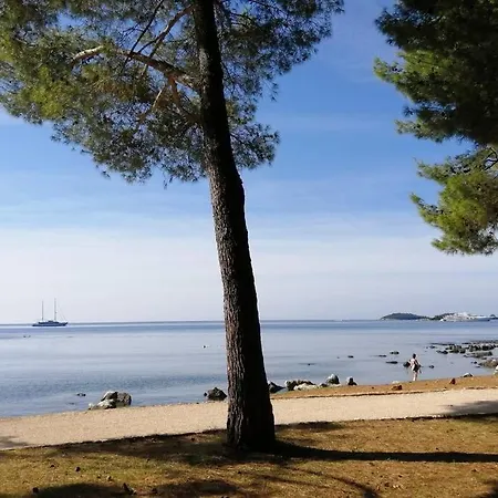 Studio Centener Rustico Gold Rovinj