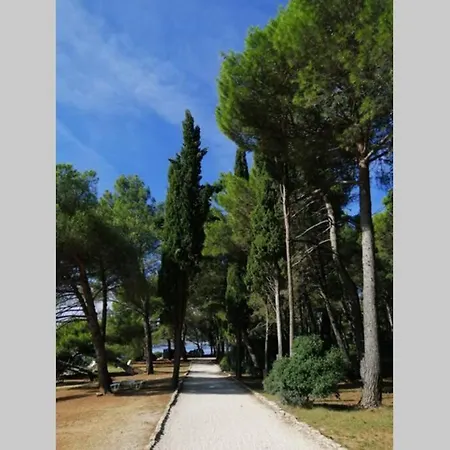 Apartment Studio Centener Rustico Gold Rovinj